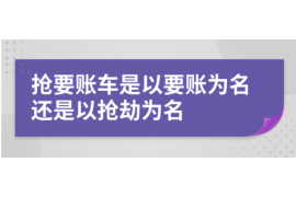 巢湖为什么选择专业追讨公司来处理您的债务纠纷？