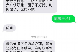 巢湖巢湖专业催债公司，专业催收