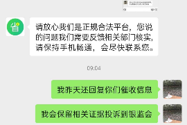 巢湖巢湖的要账公司在催收过程中的策略和技巧有哪些？